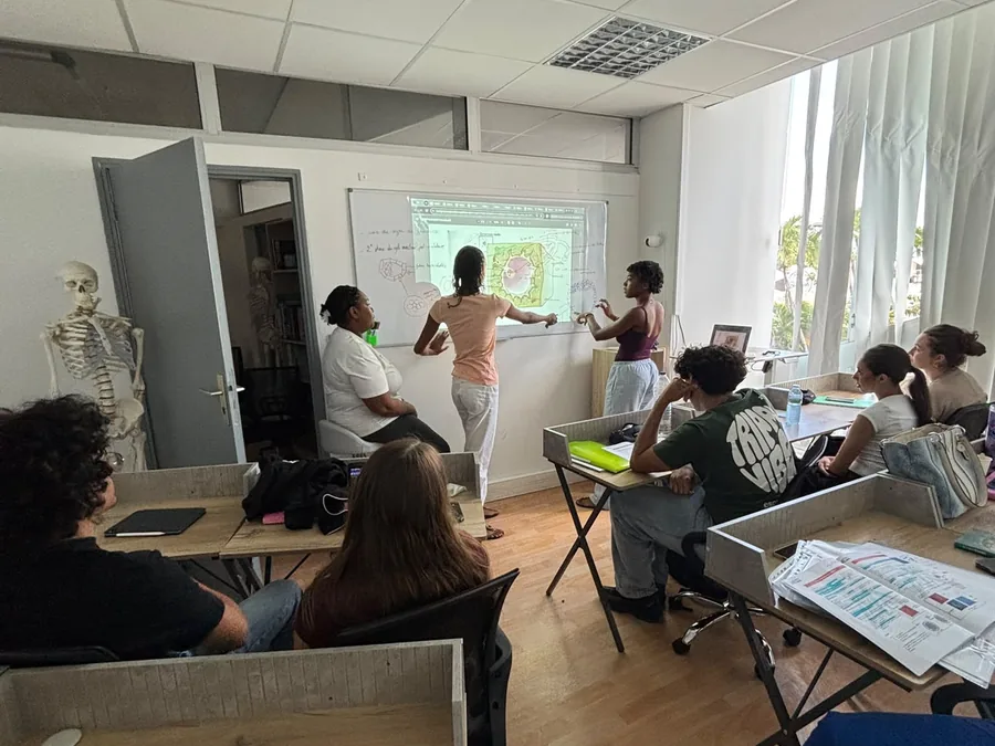 Une séance de cours en présentiel dans les locaux MediBox