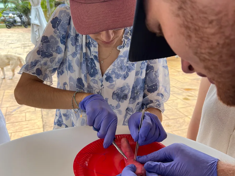 Atelier de suture encadré par un tuteur MediBox